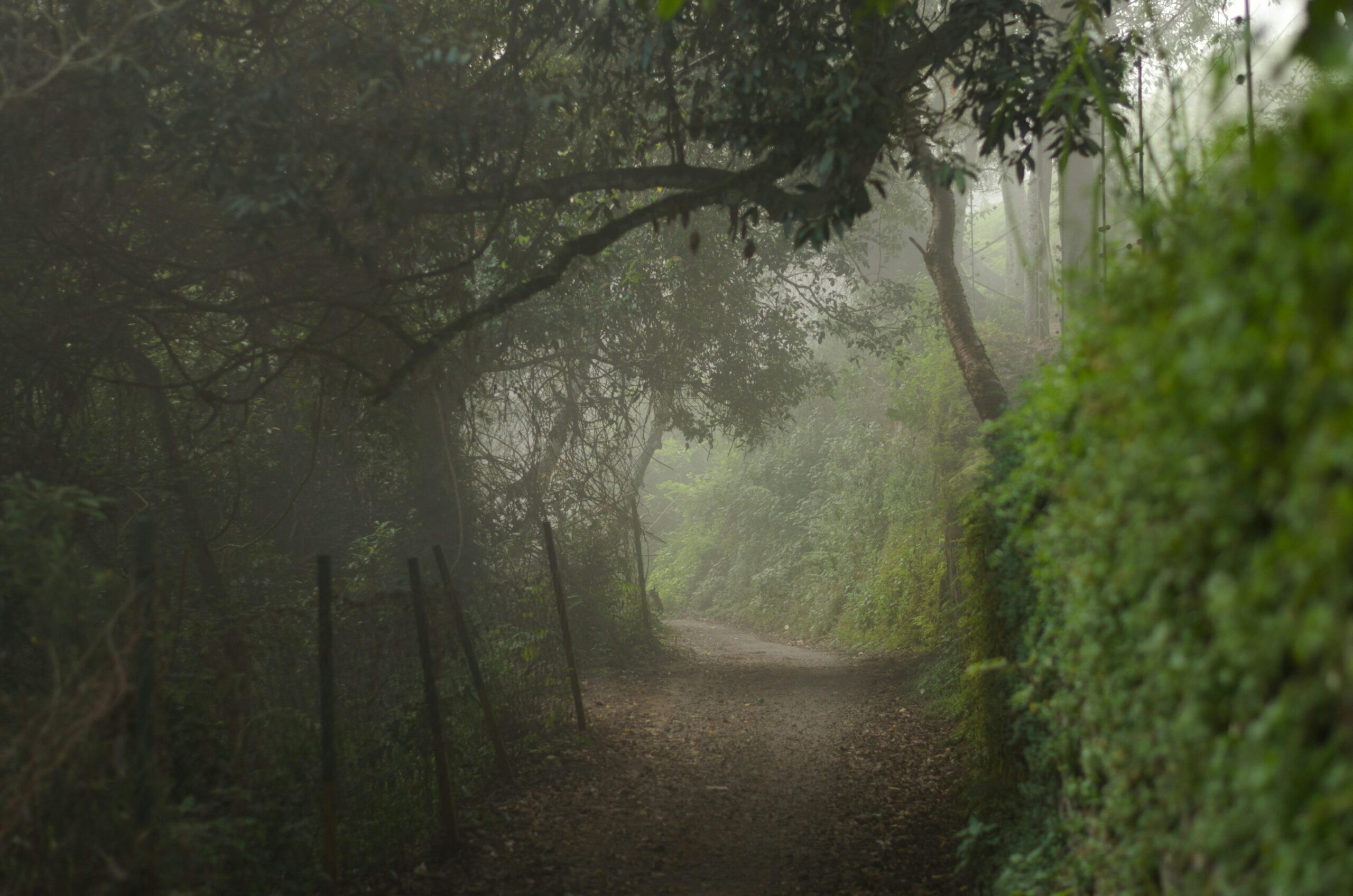 pexels richard nolan 1928704 8141325 scaled