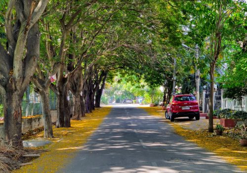 pexels-anshuman-mishra-267596-4070763