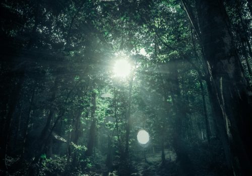 pexels-donaldtong94-88819