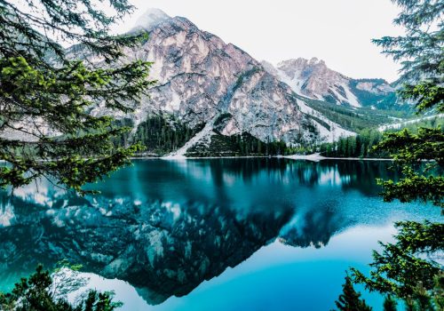 pexels-eberhardgross-443446