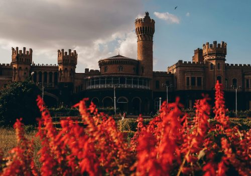 pexels-k3ithvision-14702566