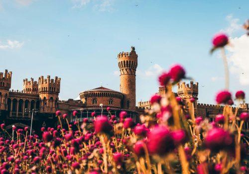 pexels-k3ithvision-15021282