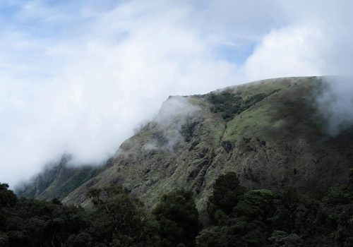 pexels-kavin-narain-961302-9411180