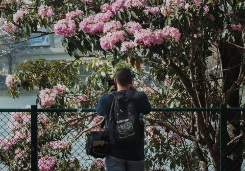 pexels-latha-sanjay-2154609935-33313601