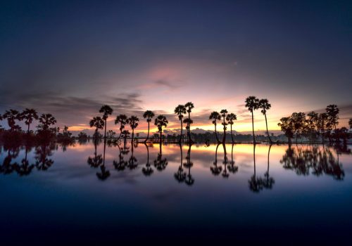 pexels-quang-nguyen-vinh-222549-2131623