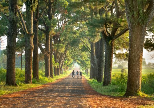 pexels-quang-nguyen-vinh-222549-2131790