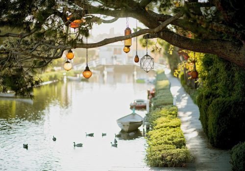 pexels-rachel-xiao-253850-772429