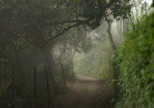 pexels-richard-nolan-1928704-8141325