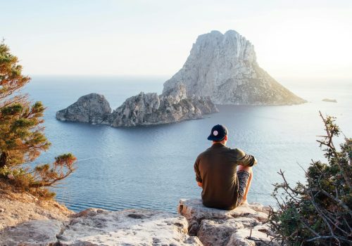 pexels-riciardus-307008