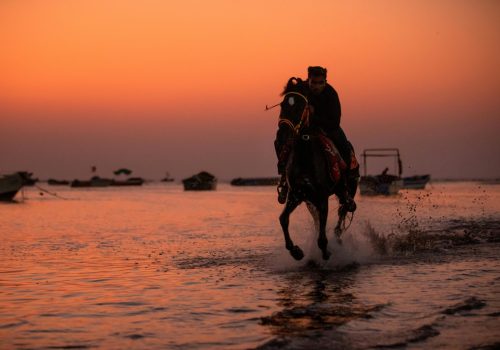 pexels-shootsaga-30590812